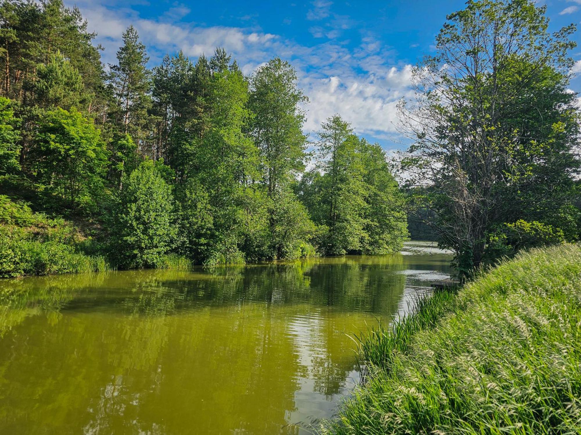 Willa Dom Pod Klonem na Kaszubach Kościerzyna Zewnętrze zdjęcie