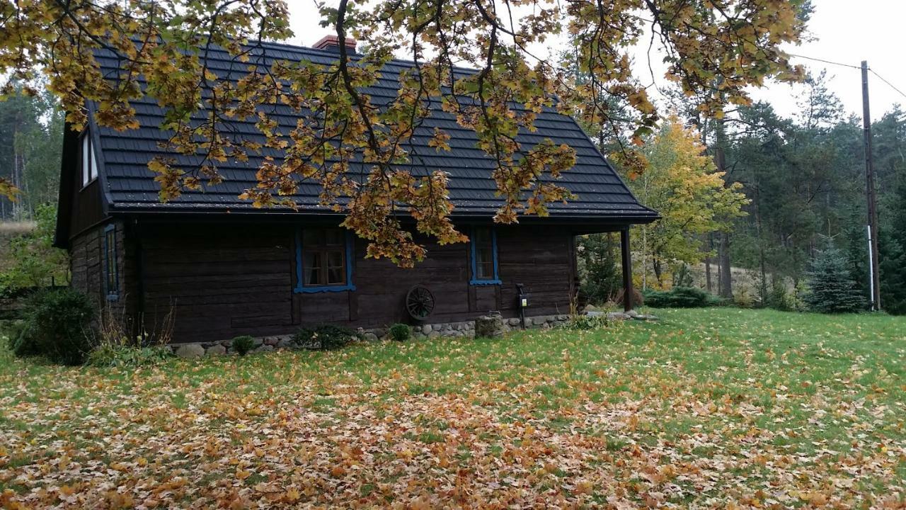 Willa Dom Pod Klonem na Kaszubach Kościerzyna Zewnętrze zdjęcie